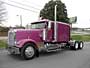 truck 2000 Freightliner Classic XL